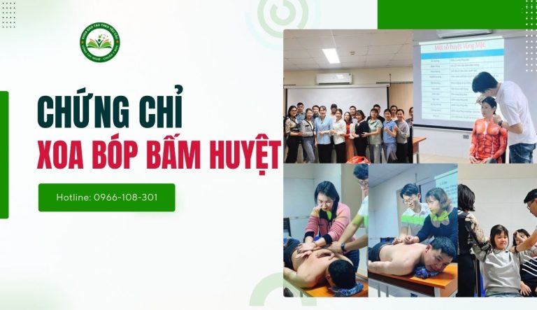CHỨNG CHỈ XOA BÓP BẤM HUYỆT CHUẨN BỘ Y TẾ
